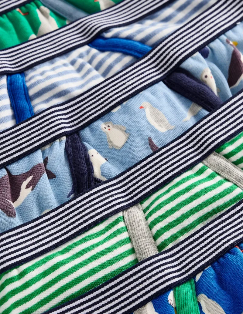 Socks & Underwear-Boden Underwear 5 Pack-Multi Arctic MultiArctic